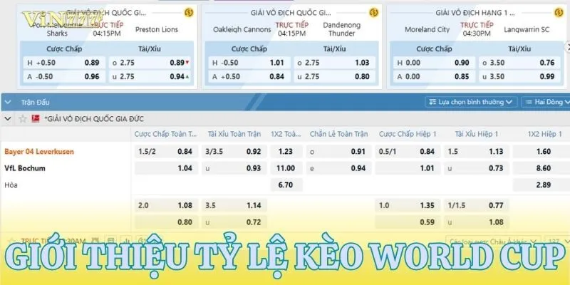 Khái quát chung về tỷ lệ kèo World Cup cho người mới