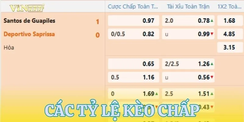 Danh sách tỷ lệ kèo chấp phổ biến mà bet thủ cần biết