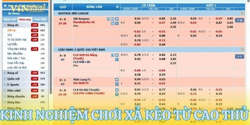 Tham khảo kinh nghiệm từ các cao thủ để tăng lợi nhuận