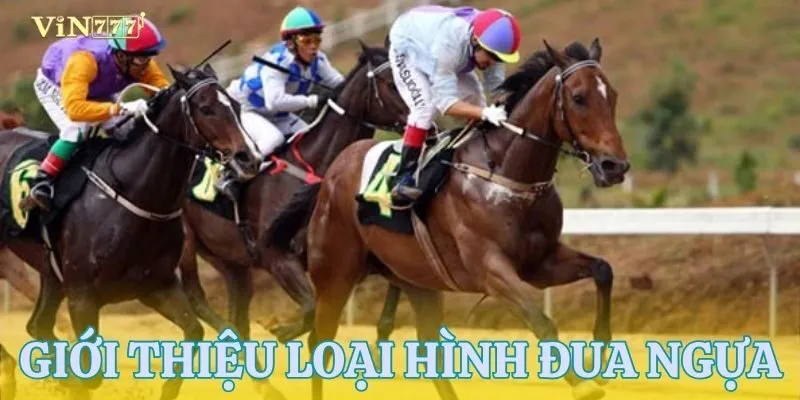 Tổng quan về cá cược đua ngựa