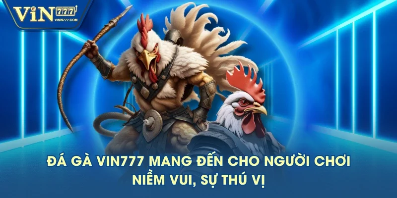 Đá gà VIN777 mang đến cho người chơi niềm vui, sự thú vị Đá gà VIN777 mang đến cho người chơi niềm vui, sự thú vị