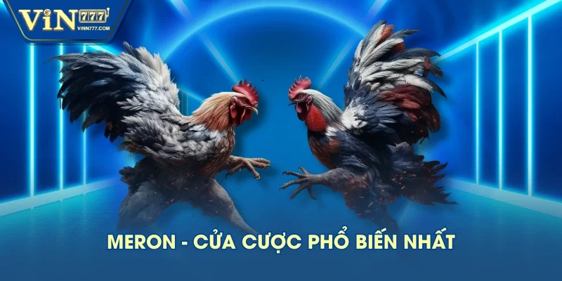 Meron - Cửa cược phổ biến nhất Meron - Cửa cược phổ biến nhất