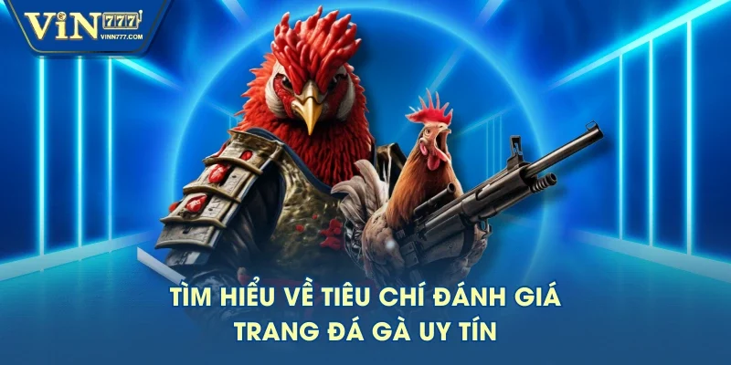 Tìm hiểu về tiêu chí đánh giá trang đá gà uy tín Tìm hiểu về tiêu chí đánh giá trang đá gà uy tín